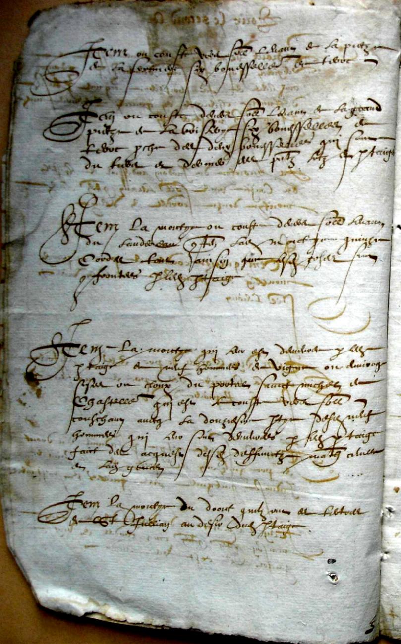 Thieurine_1589 (6).JPG